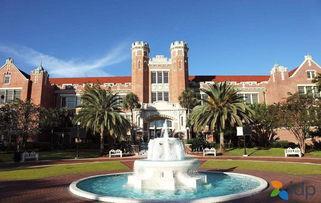 佛罗里达国际最新爆料,揭秘神秘事件背后真相  第3张